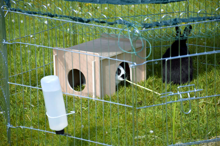 dobar Freilaufgehege